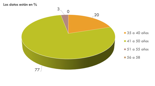 Figura 11: Porcentajes de alumnos del diplomado según el rango de edades.