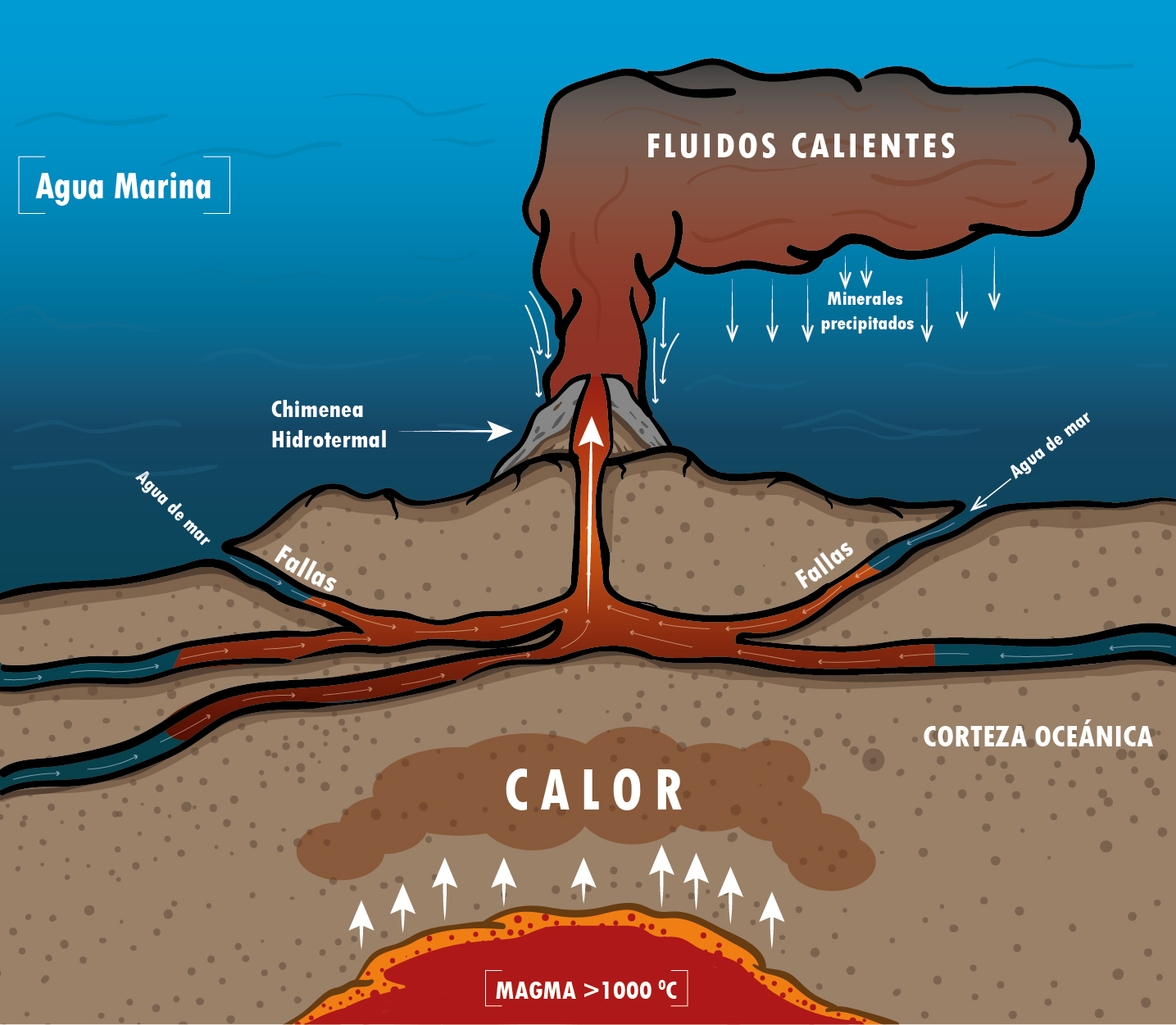 Diagrama simplificado que muestra el funcionamiento de un sistema hidrotermal submarino en el centro de una dorsal oceánica