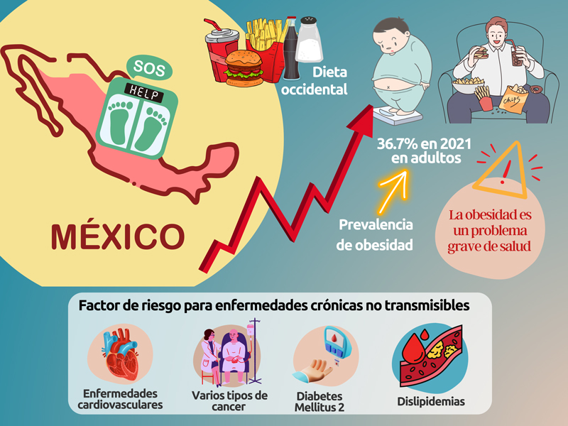 Prevalencia de obesidad en México