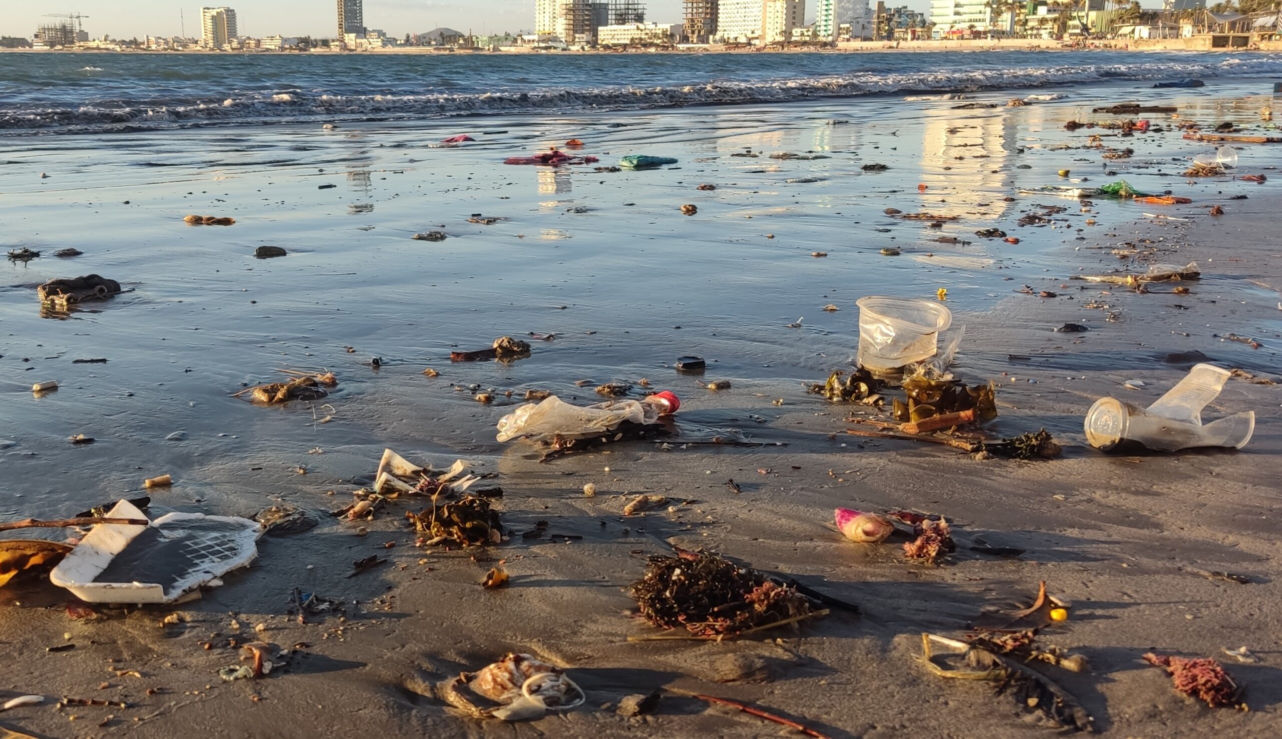 iezas de plástico en una playa, mostrando fragmentación por acción de las olas y rayos UV