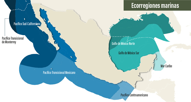 Ecorregiones marinas de México