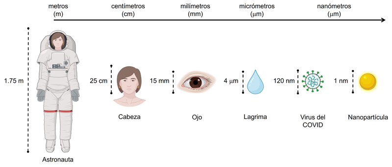 Comparación de tamaños