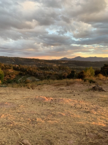 Campo de maíz cosechado con residuos o esquilmos de maíz.