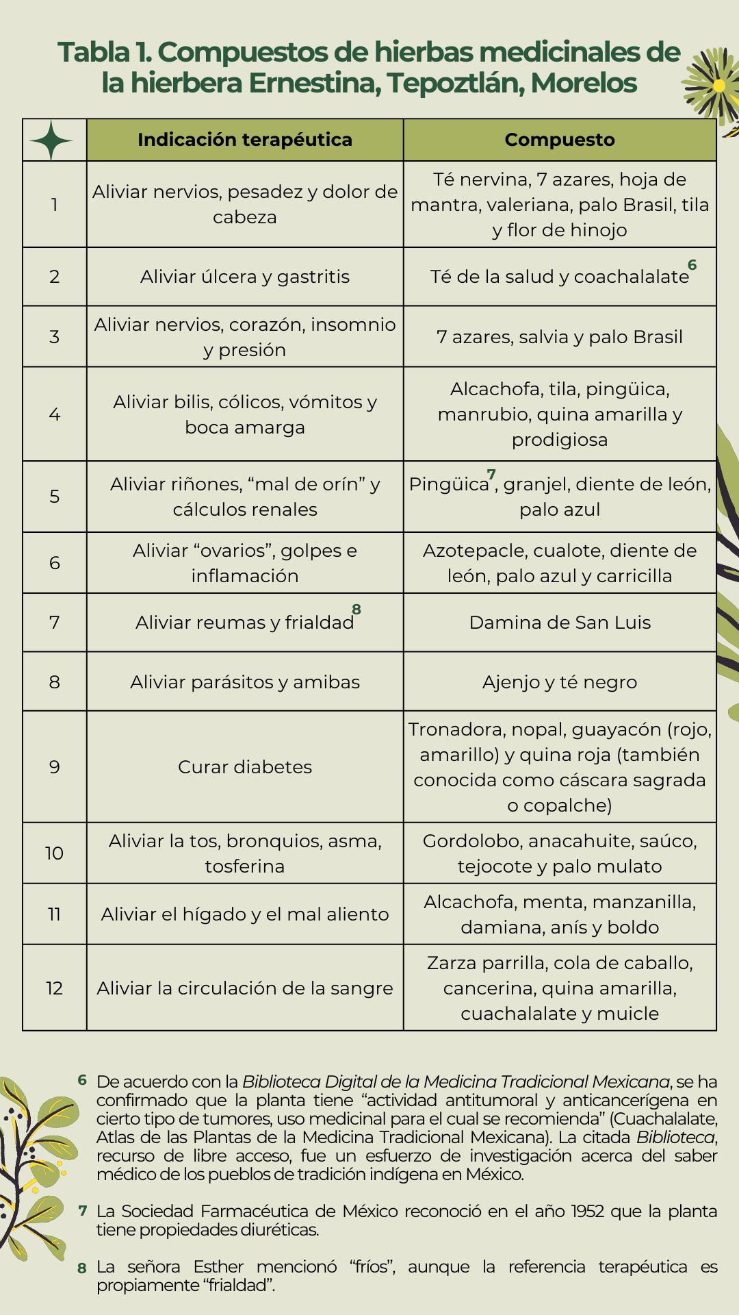 Tabla 1. Compuestos de hierbas medicinales de la hierbera Ernestina